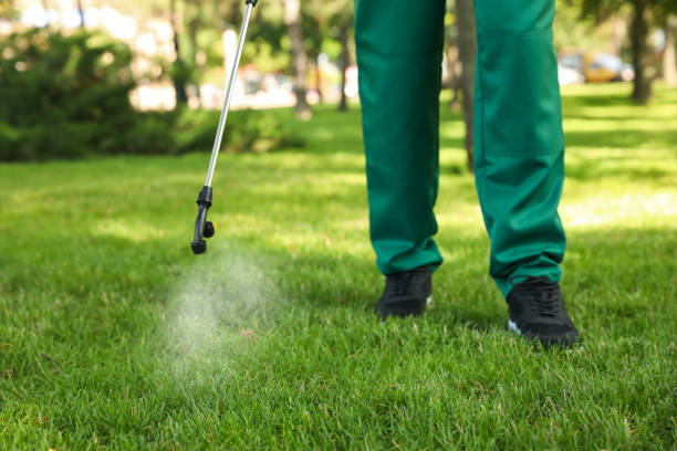 Best Rat Extermination Near Me  in Mcleansboro, IL