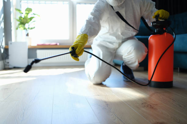 Best Affordable Pest Control Services  in Mcleansboro, IL